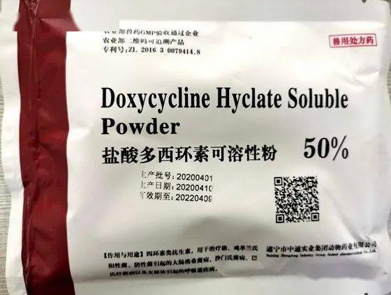 家禽养殖实战指南 9种常见鸭病的有效防治技术与临床经验总结
